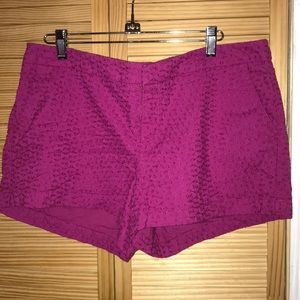 Magenta Eyelet Shorts💖